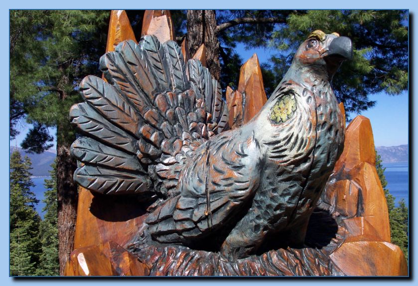 2-45  grouse-archive-0003